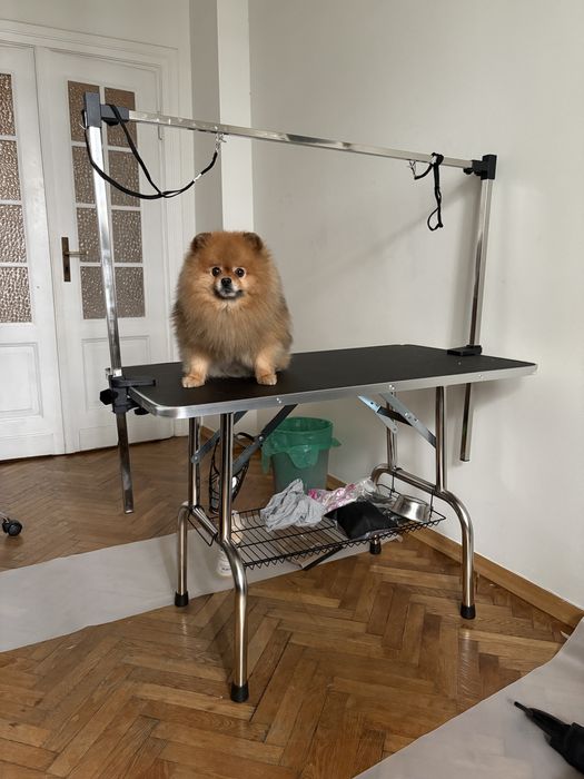 Stol duzy groomerski stol dla groomingu psa profesionalny