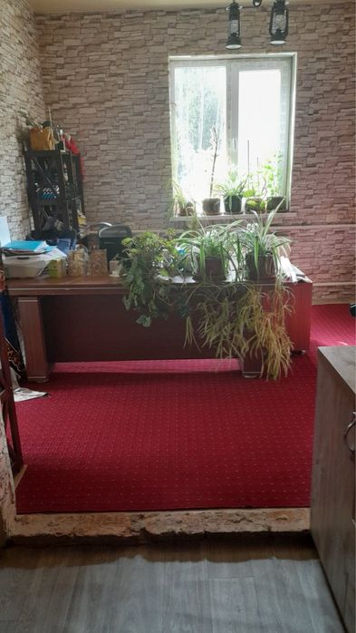 Продам будинок в лісі від власника з бомбосховищем