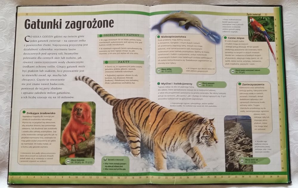 zestaw, encyklopedie, zwierząt, 2 szt, zwierzęta, życie, kręgowce