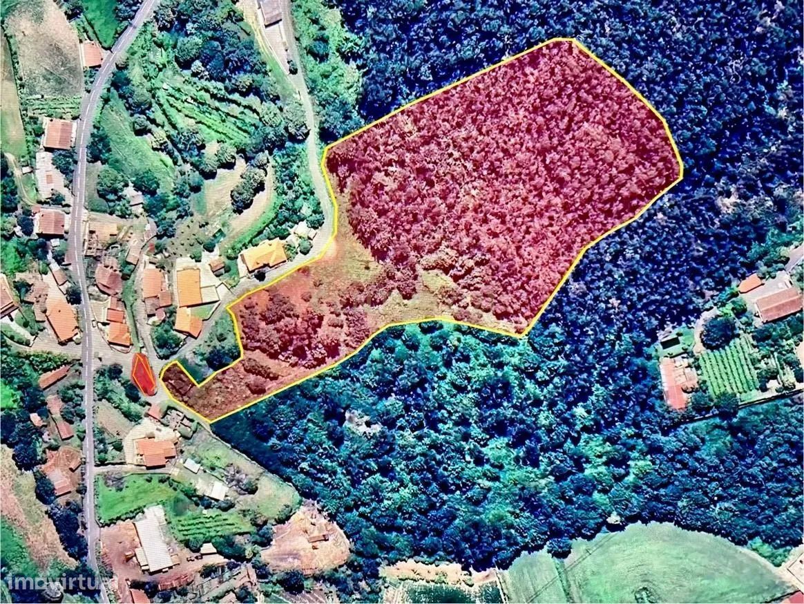 Quinta e Herdade Povoa de Lanhoso (Aceita se propostas)