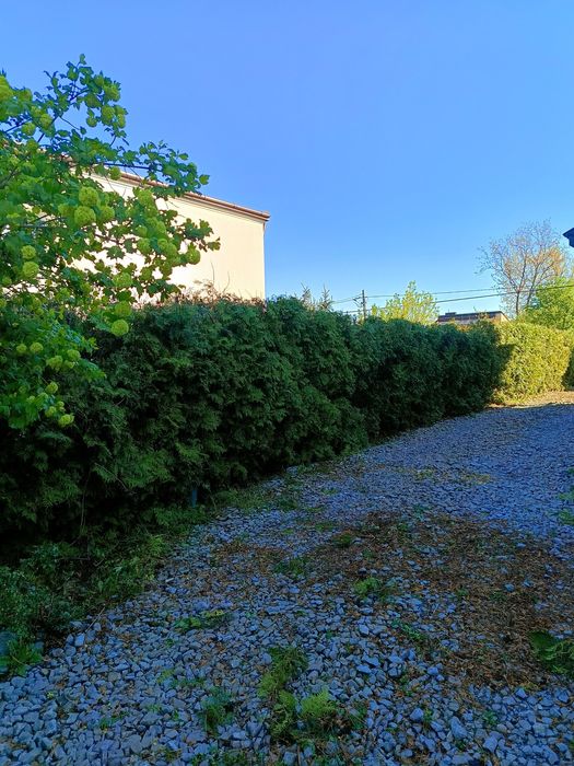 Zakładanie ogrodów, trawników