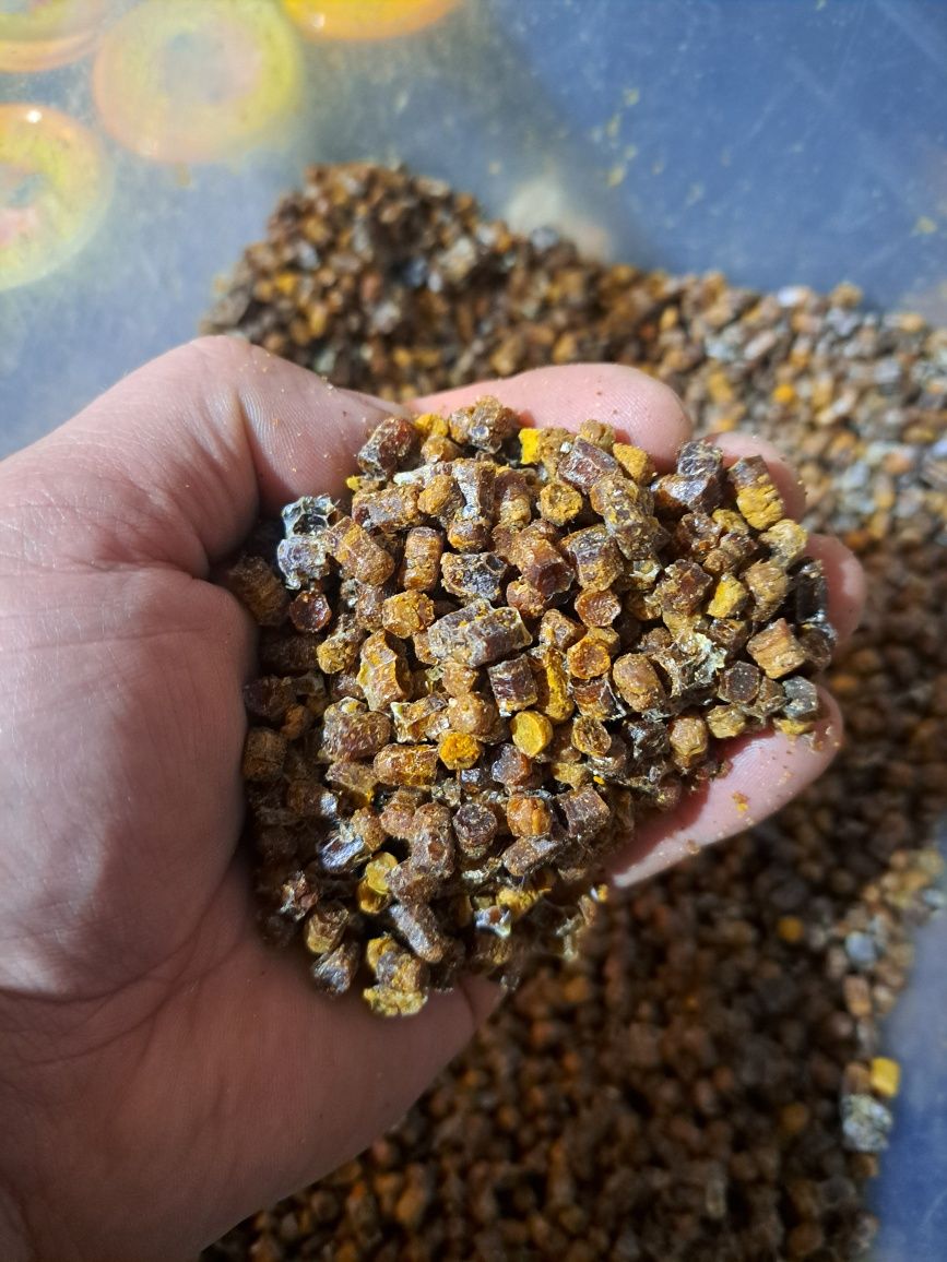 Pyłek kwiatowy, pierzga , wosk pszczeli , kit , propolis , miody