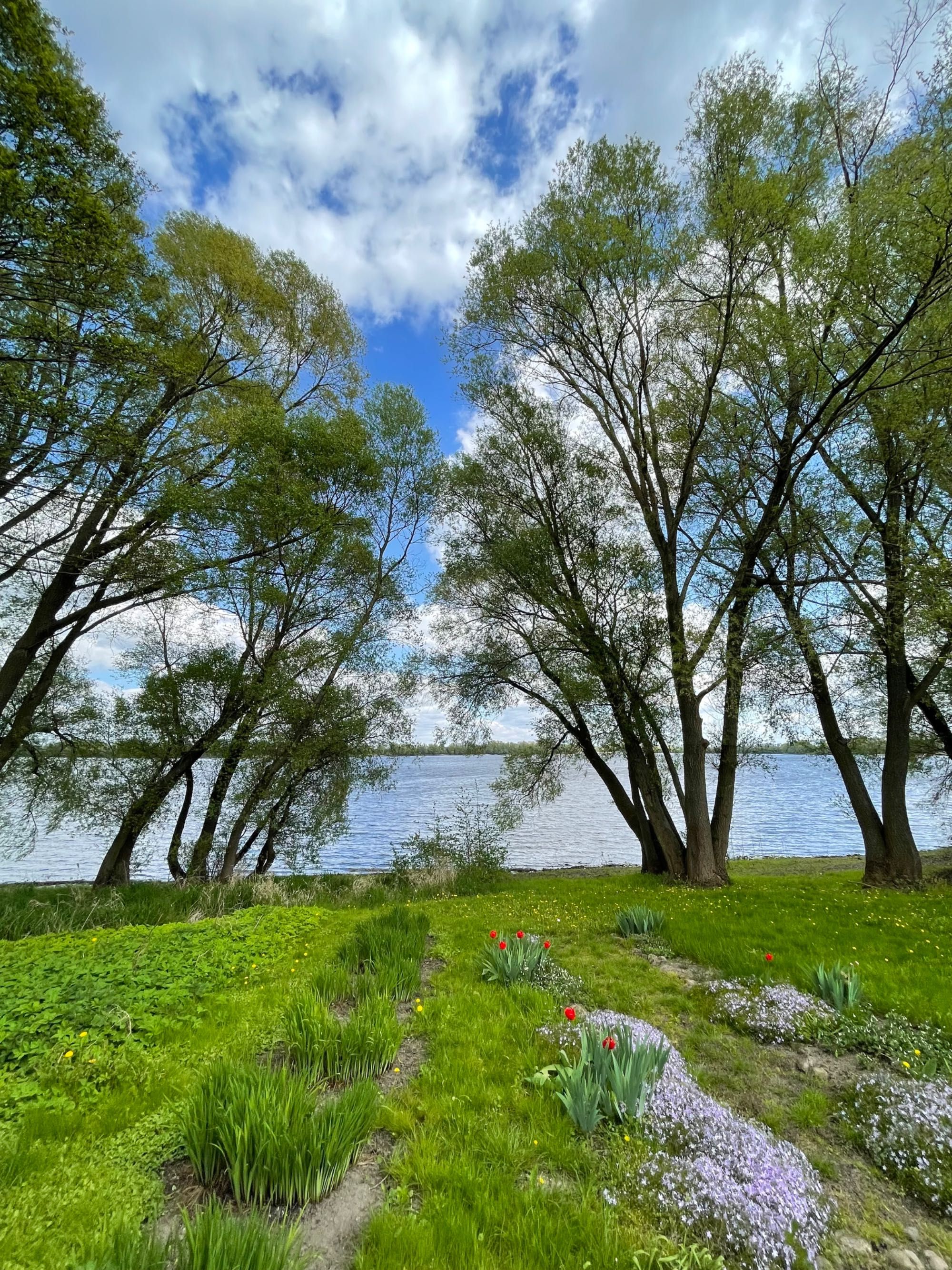 Trląg,posiadłosć nad samym jeziorem Pakoskim,Janikowo, 7013m2,dom123m2