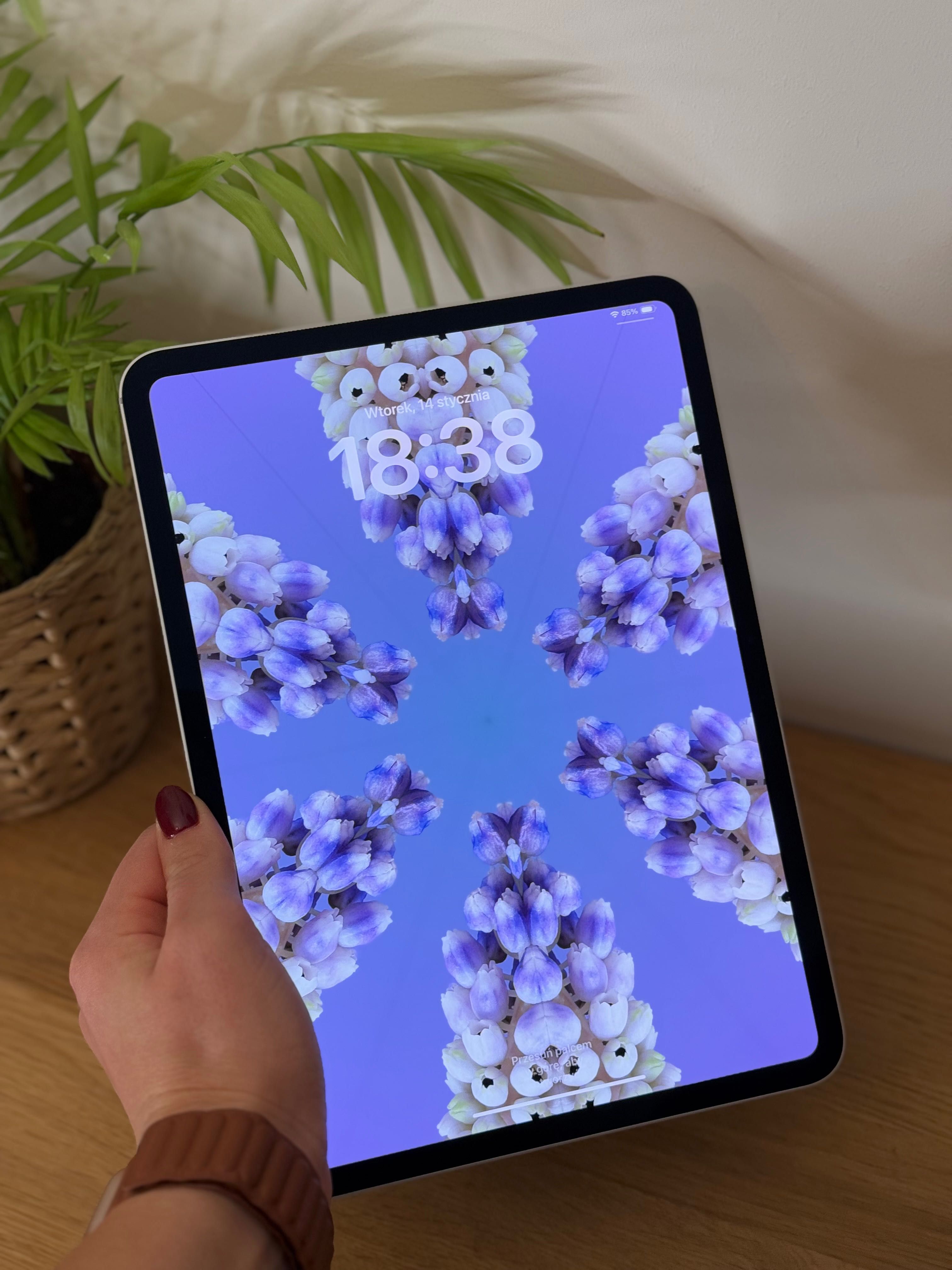 Apple iPad Pro 11” 5 Generacja M4 256GB Wi-Fi Silver