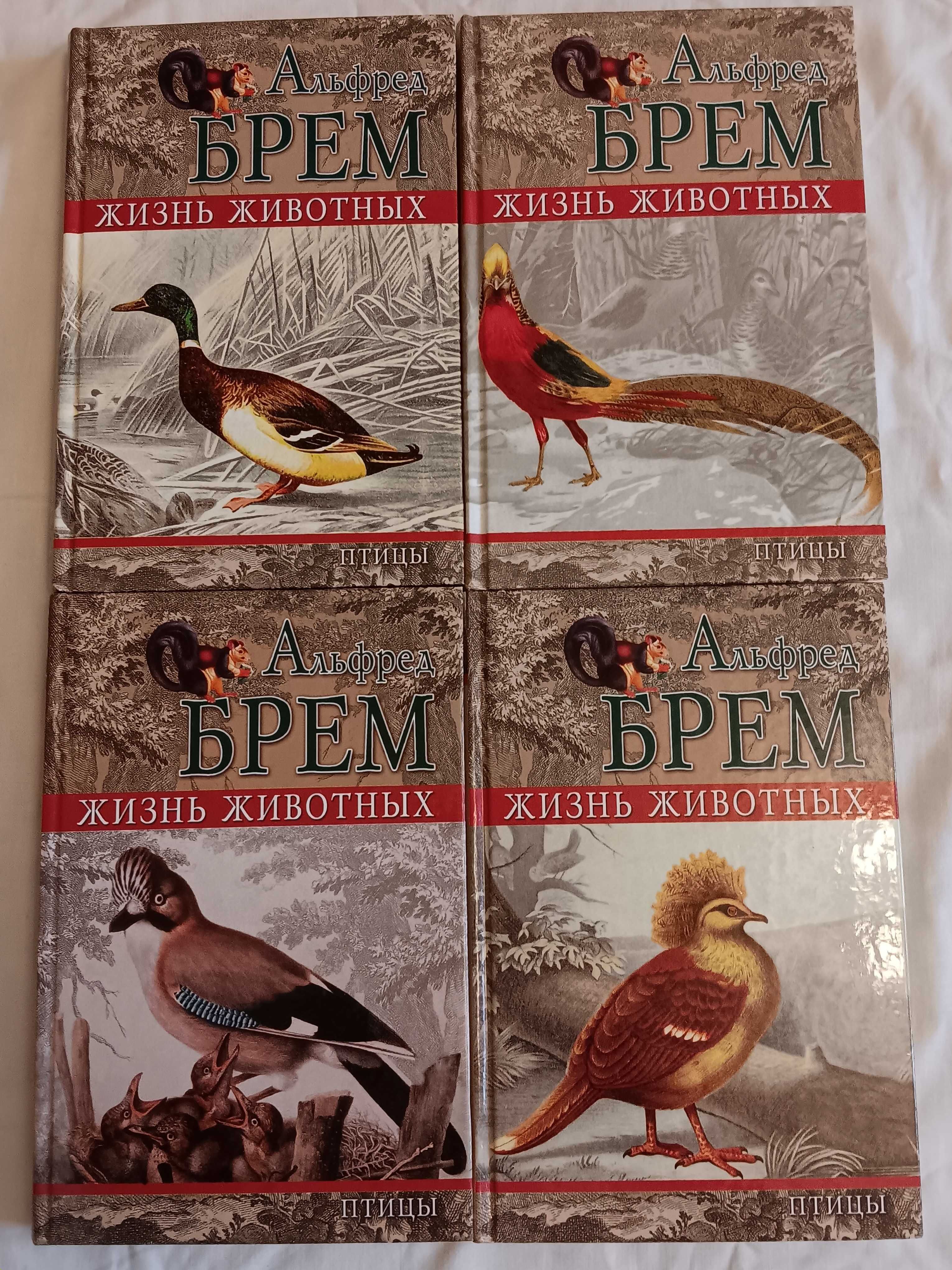 Альфред Брем. Жизнь животных 4 книги Птицы