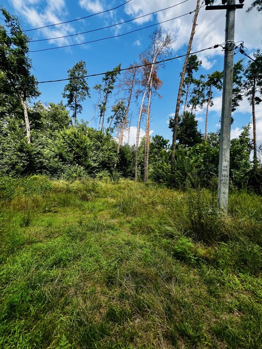 Ділянка під ваш будинок біля Лісу в Бучі! Києво-Мироцька