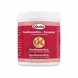 Quiko Canthaxantin 500g (barwnik czerwony kantaksantyna) kanarek szczy