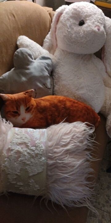 Декоративная подушка в виде кота
