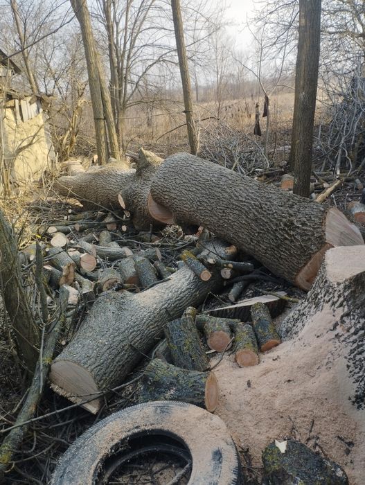 Видалення аварійних дерев, розпил дров, розчищення території