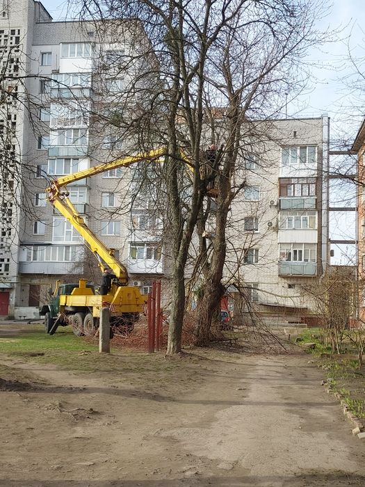 Порізка дерев і косіння трави