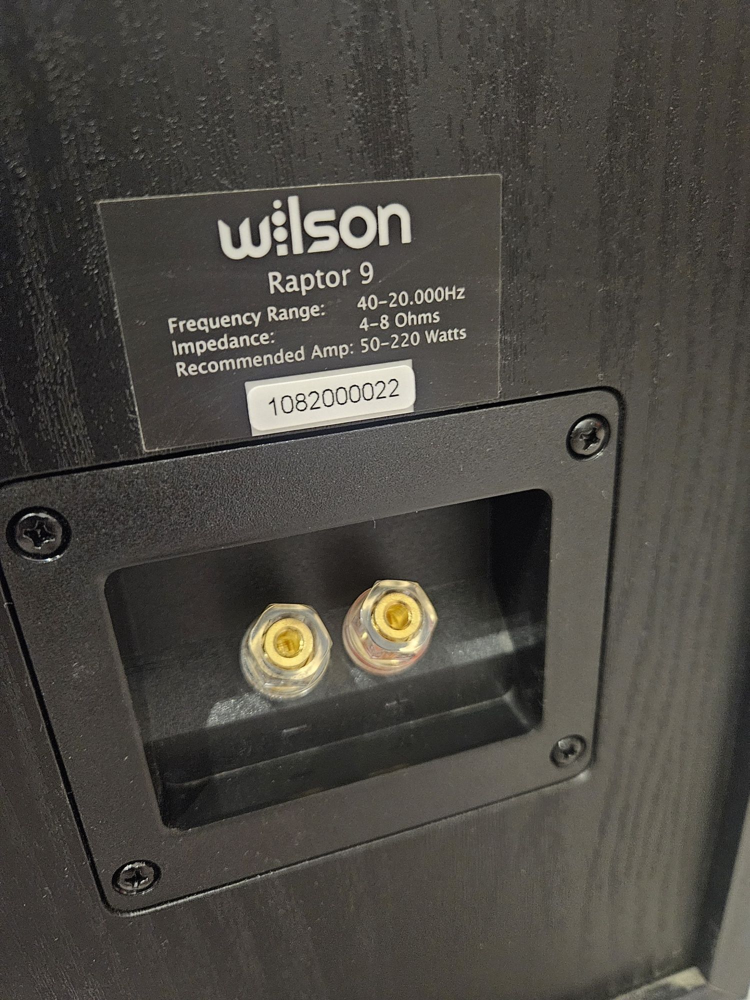 Kolumny głośnikowe wilson raptor 9