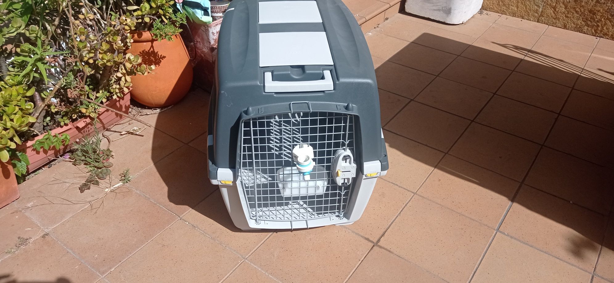 Transportadora de cachorro varias