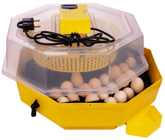 Nowy Inkubator CLEO 5DTHE klujnik wylęgarka 60 jaj gwarancja