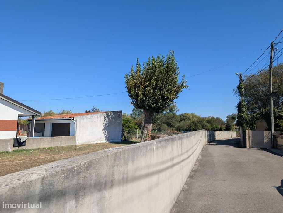 Terreno em Estarreja