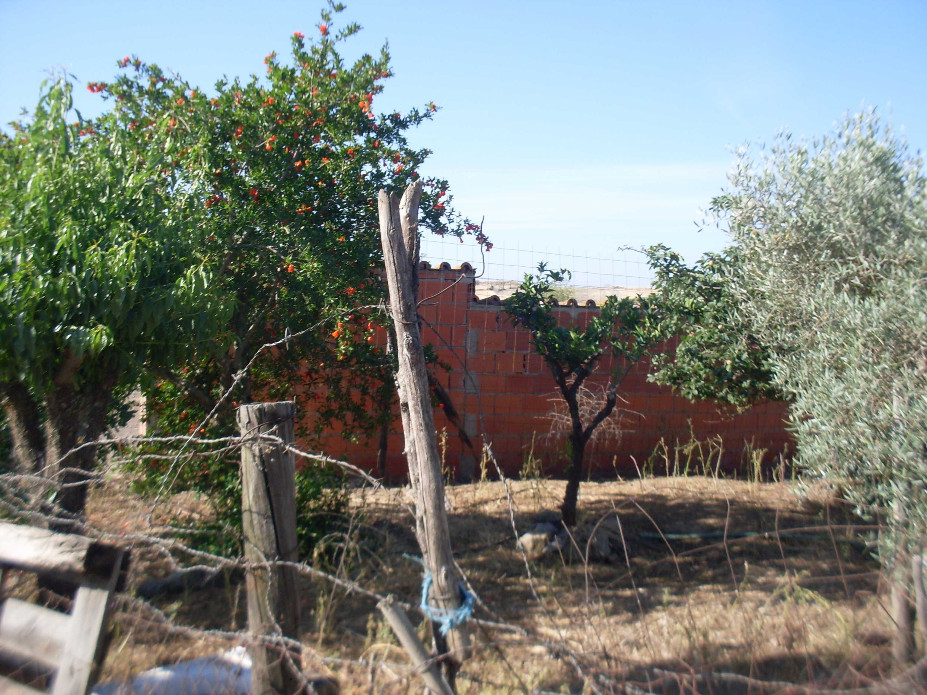 Pequena Quinta com agua de furo