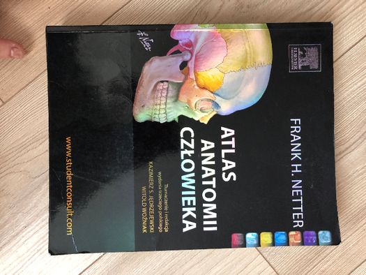 Atlas Anatomii Człowieka F. H. Netter