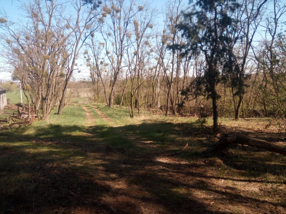 Działka rolno-budowlana 1,81ha