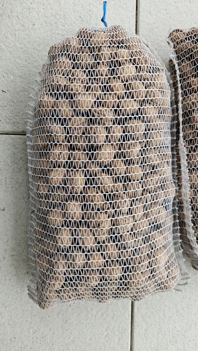 Orzechy włoskie tegoroczne 10zł/kg