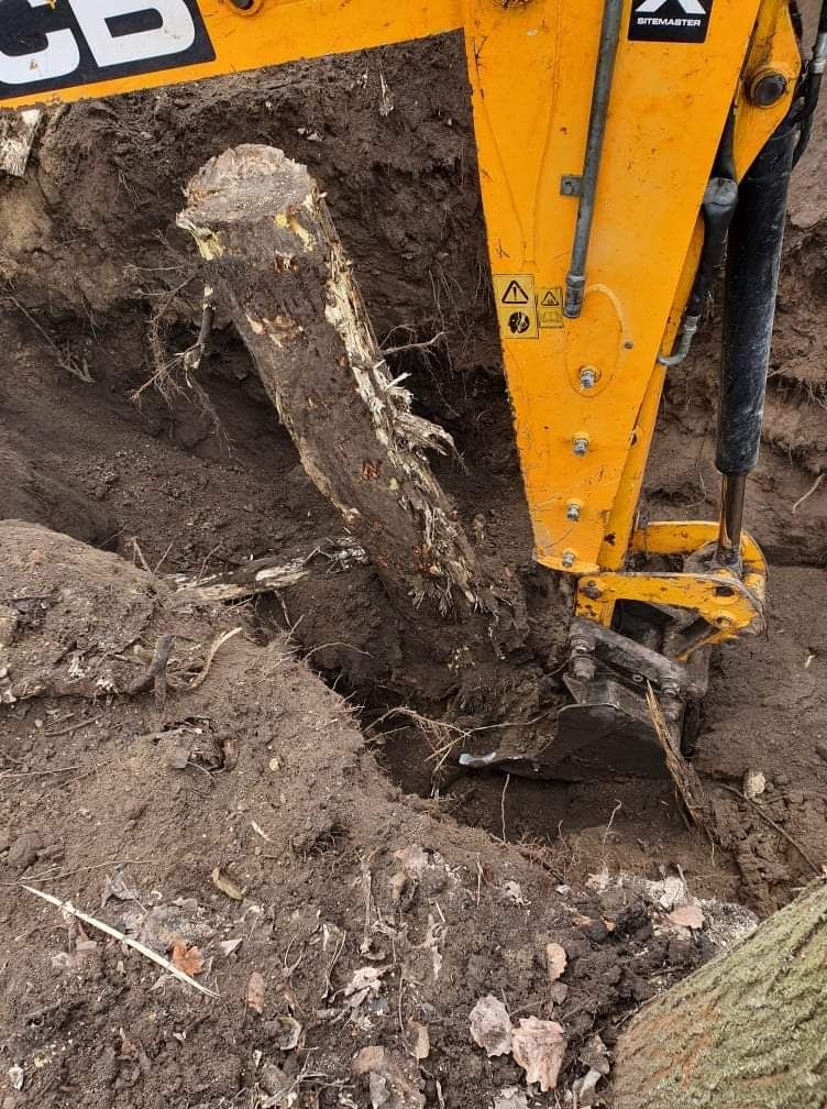 Czyszczenie działek mielenie gałęzi wycinka drzew rębak Najtaniej!