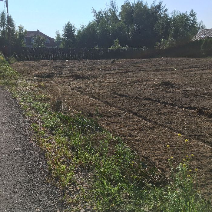 Karczowanie czyszczenie i rekultywacja działek mulczer leśnym, wycinka