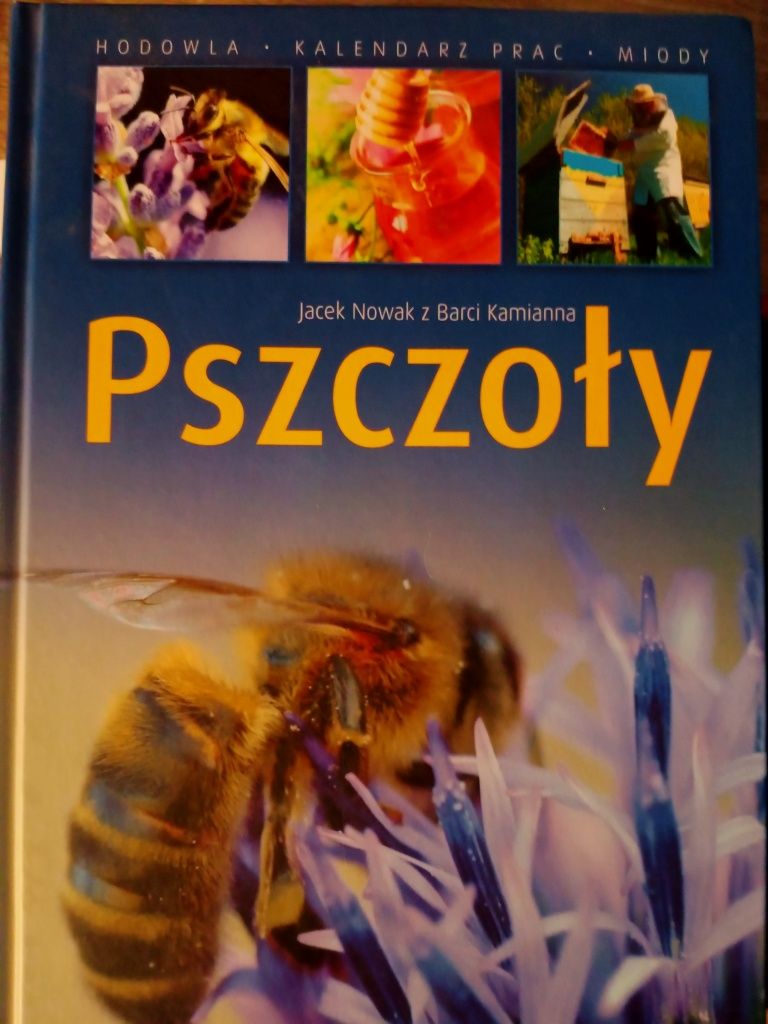 Pszczoły - Jacek Nowak z Barci Kamianna
