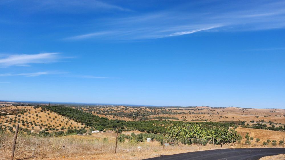Charmosa vivenda alentejana com quintal e vista