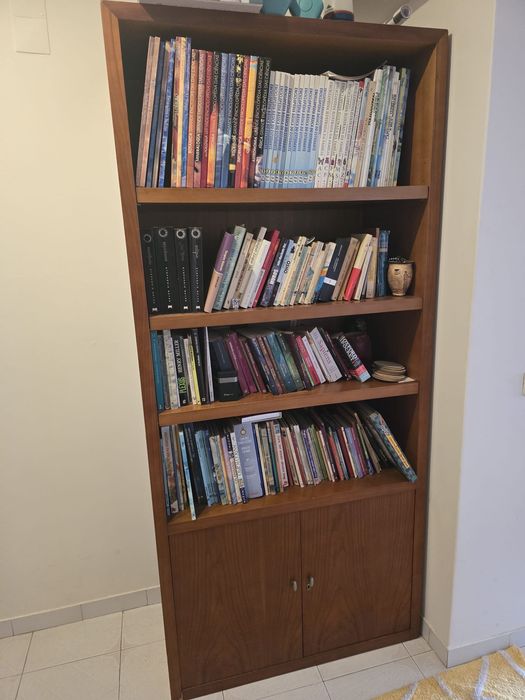 Biblioteca em cerejeira