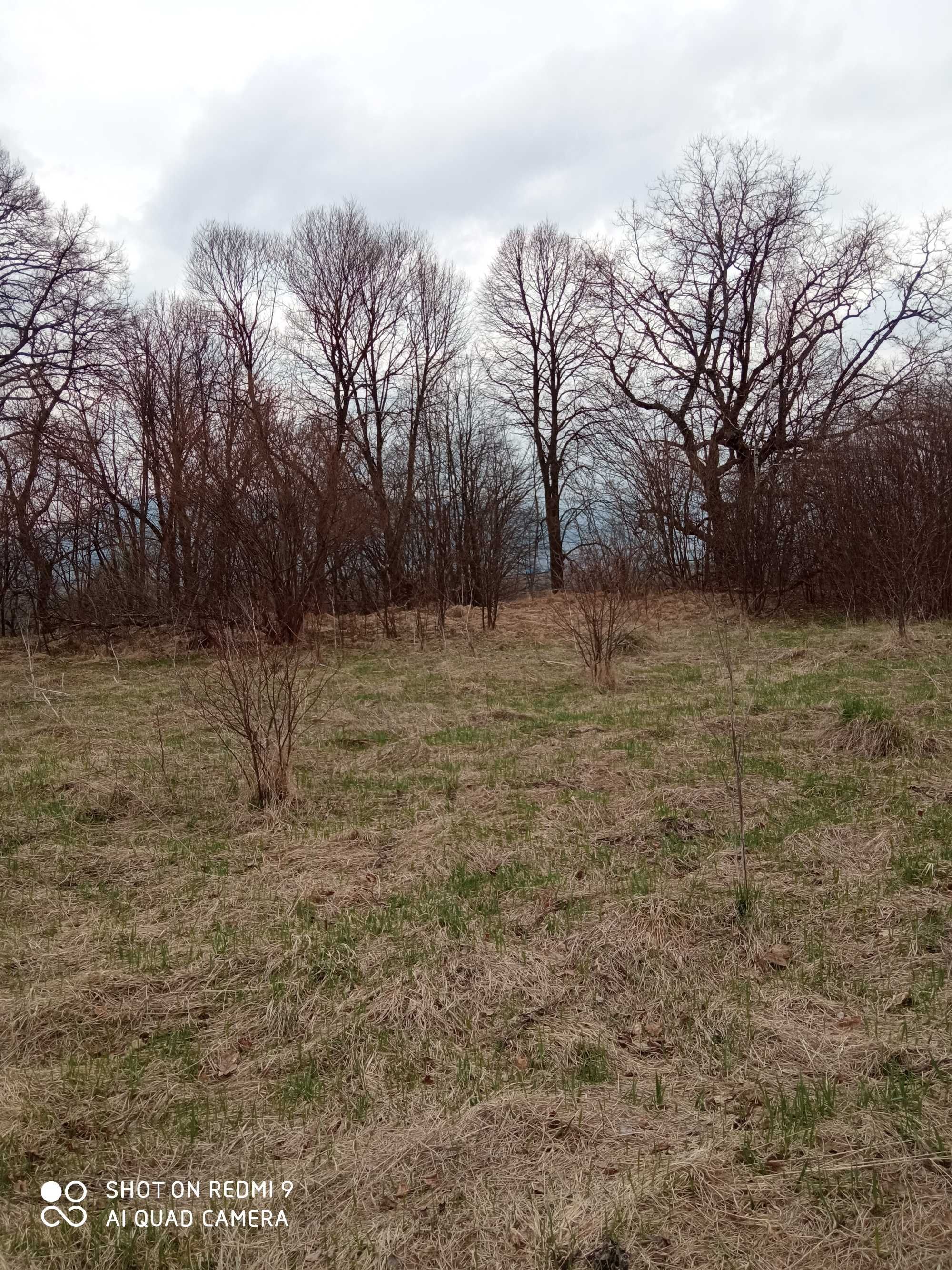 Земельна ділянка у Карпатах