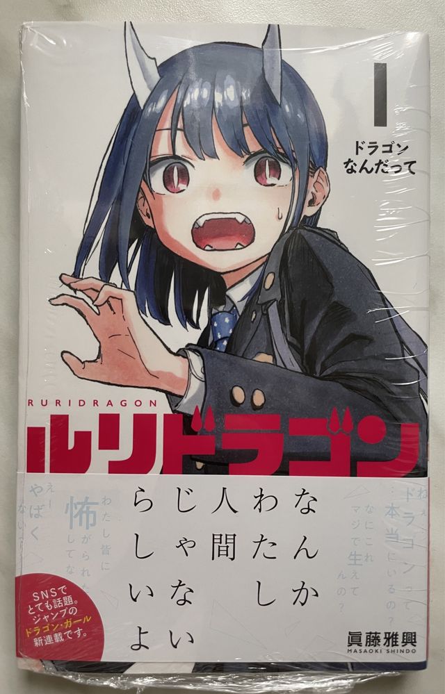 manga Ruri Dragon 1 tom po japońsku