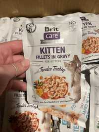 Karma Brit Care Fillets In Gravy Filety Indyk Kitten- Duża ilość