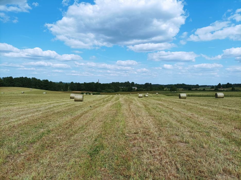 Sprzedam bele sianokiszonki