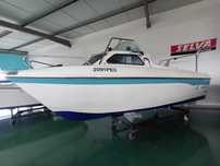 Barco ARGUS 500 com motor HONDA 50HP