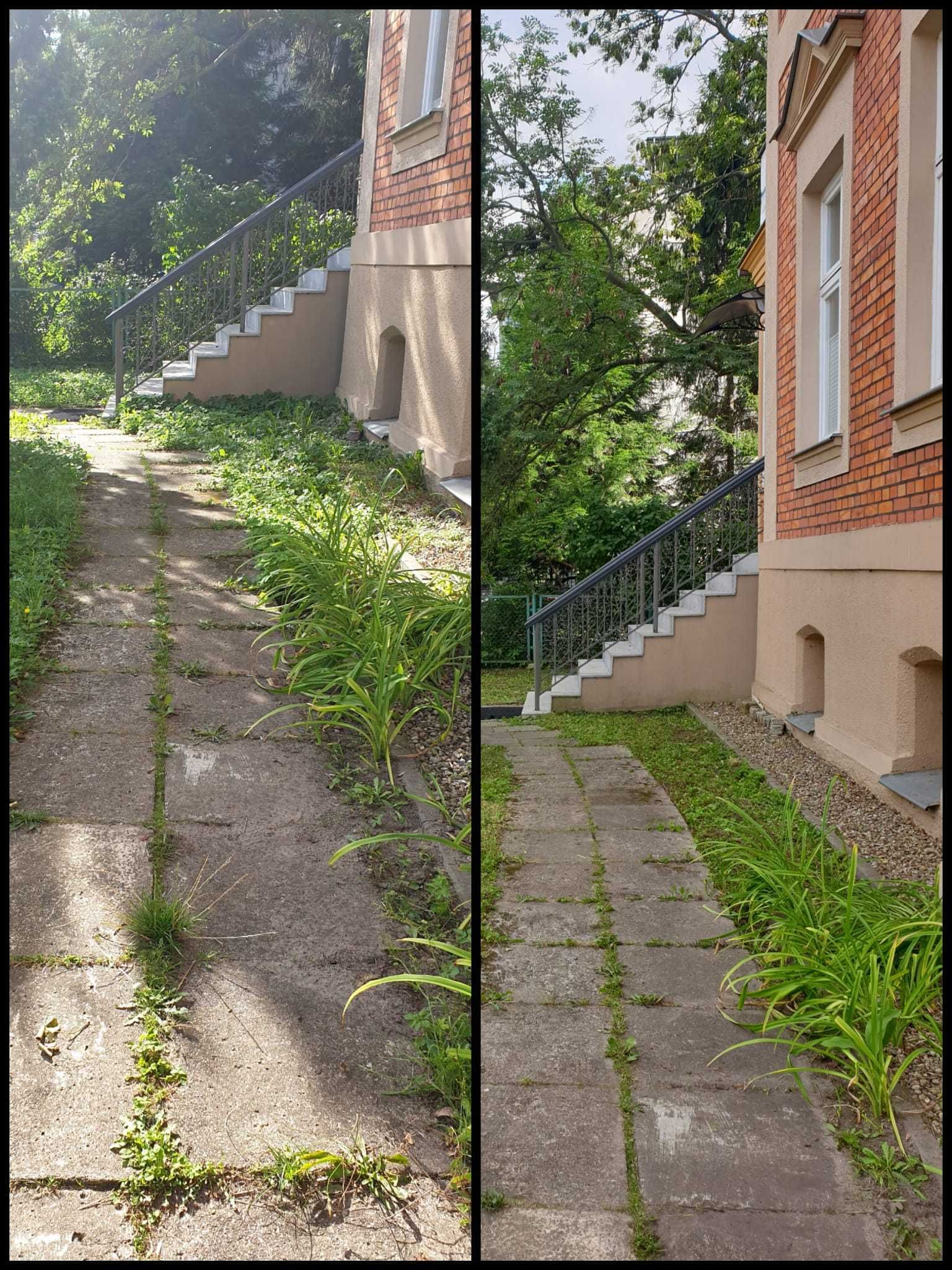 Koszenie trawy / Przycinanie krzewów / Pielęgnacja zieleni