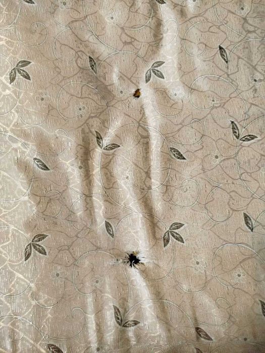 Віддам ліжко безкоштовно