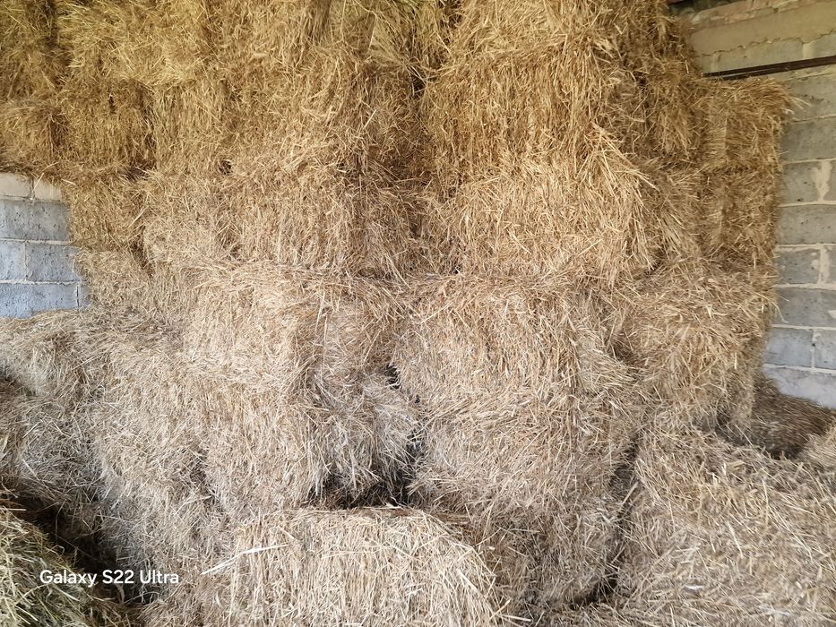 Sloma że stodoly / kostka /słoma /siano