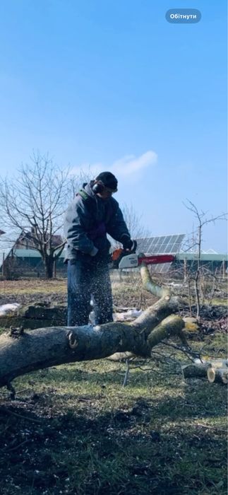 Обрізка дерев, гілок