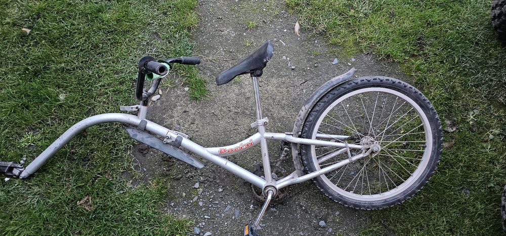 Rower doczepiany przyczepka ryksza