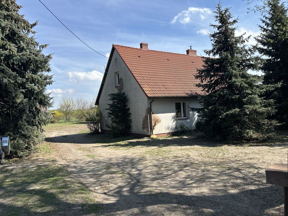 Dom siedlisko wraz z budynkami