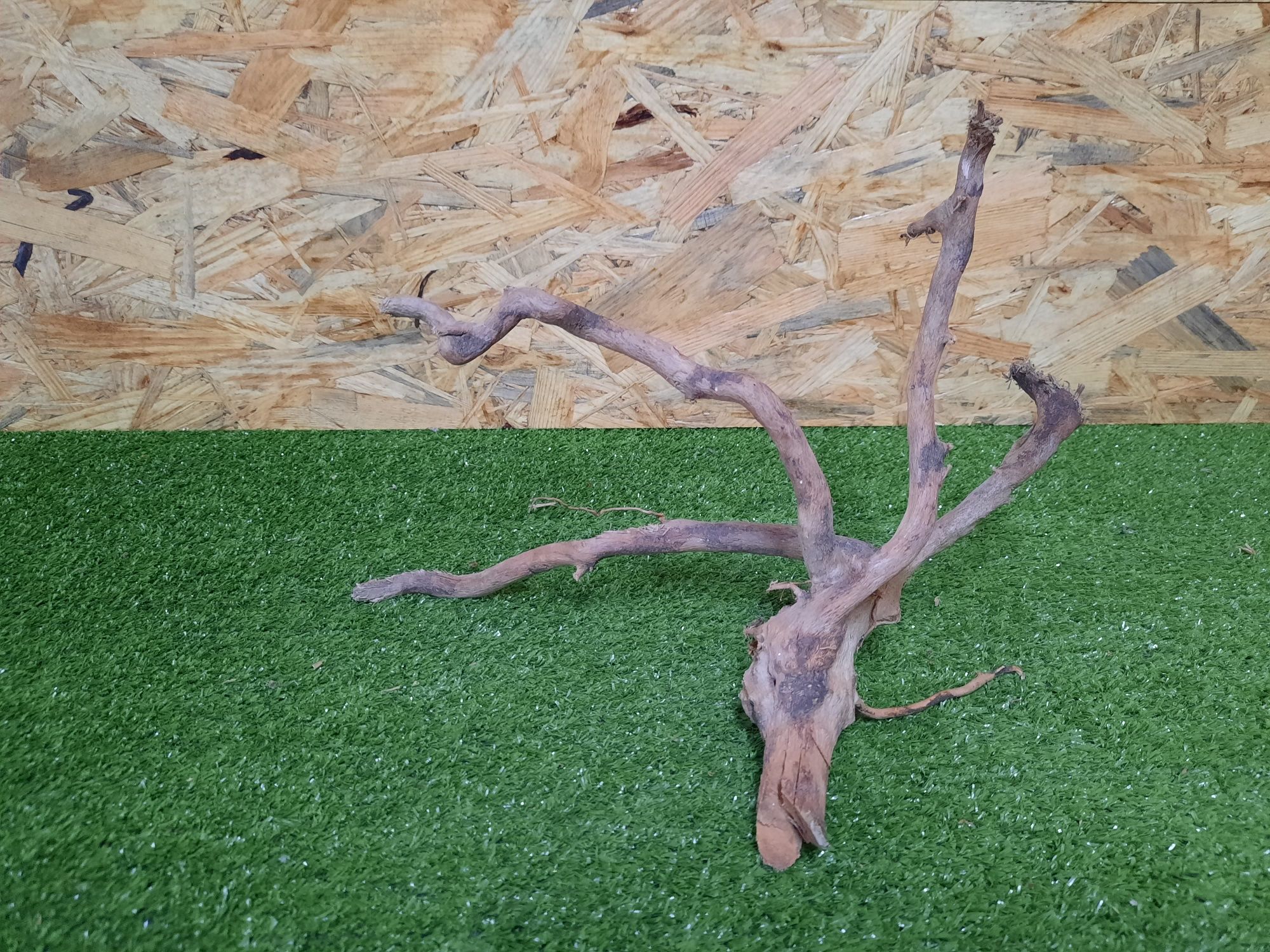 Korzeń do akwarium Red Moore Wood nr 1084 o wymiarach 33/20/17