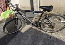 Bicicleta McKenzie sportline