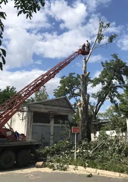 Покосить бурьян СПИЛ Деревьев Расчистка участков Корчевание пней Вывоз