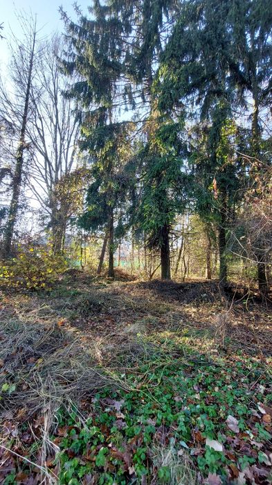 Działka budowlana Szczepankowo Poznań