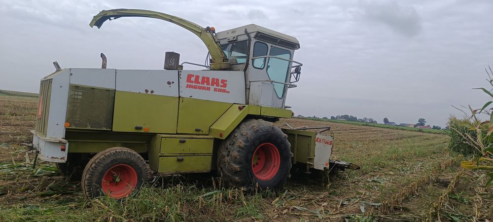 Sieczkarnia Claas jaguar 680 ( 690 685 sl 695 nie sl)