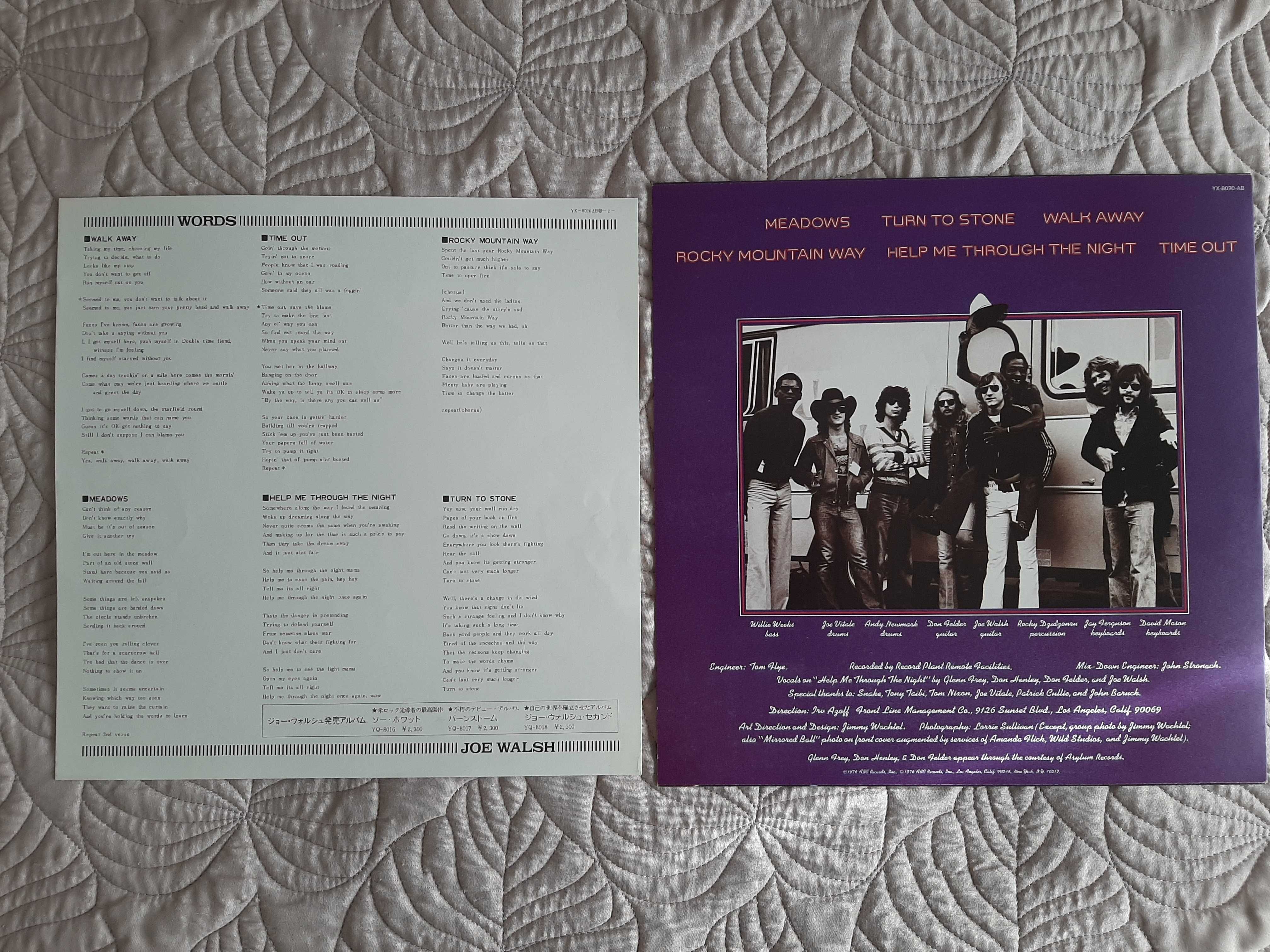 Joe Walsh (Eagles) - You Can`t Argue With Sick Mind - Japão - Vinil LP