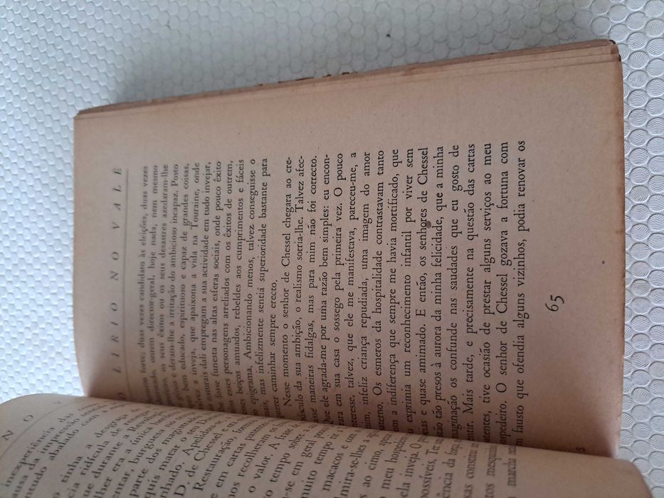 O Lírio do Vale  - H. De Balzac