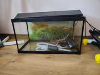 Akwarium 60l z akcesoriami