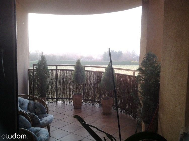 2 pokojowe mieszkanie do wynajecia Piatkowo.