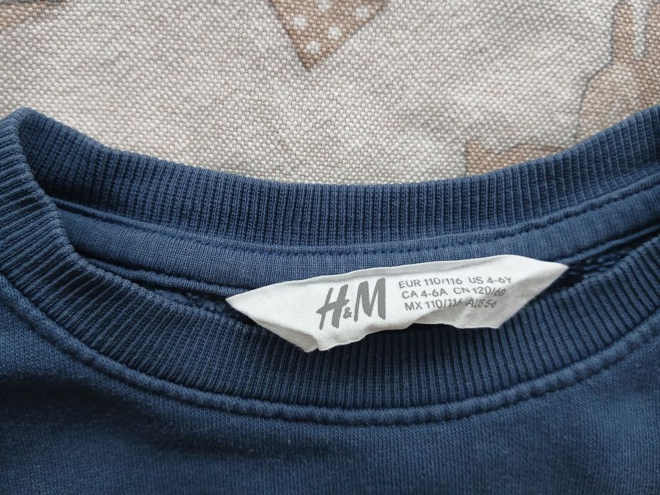 Світшот H&M з динозавром, кофта, кофтина для хлопчика 110-116