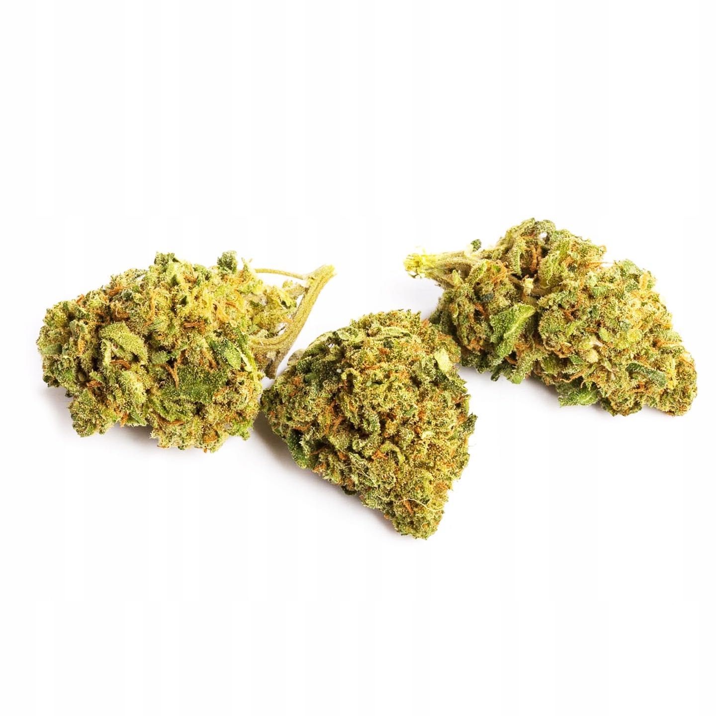 100G Susz CBD Skywalker OG 0,20% HURT Producent FV Susz konopny