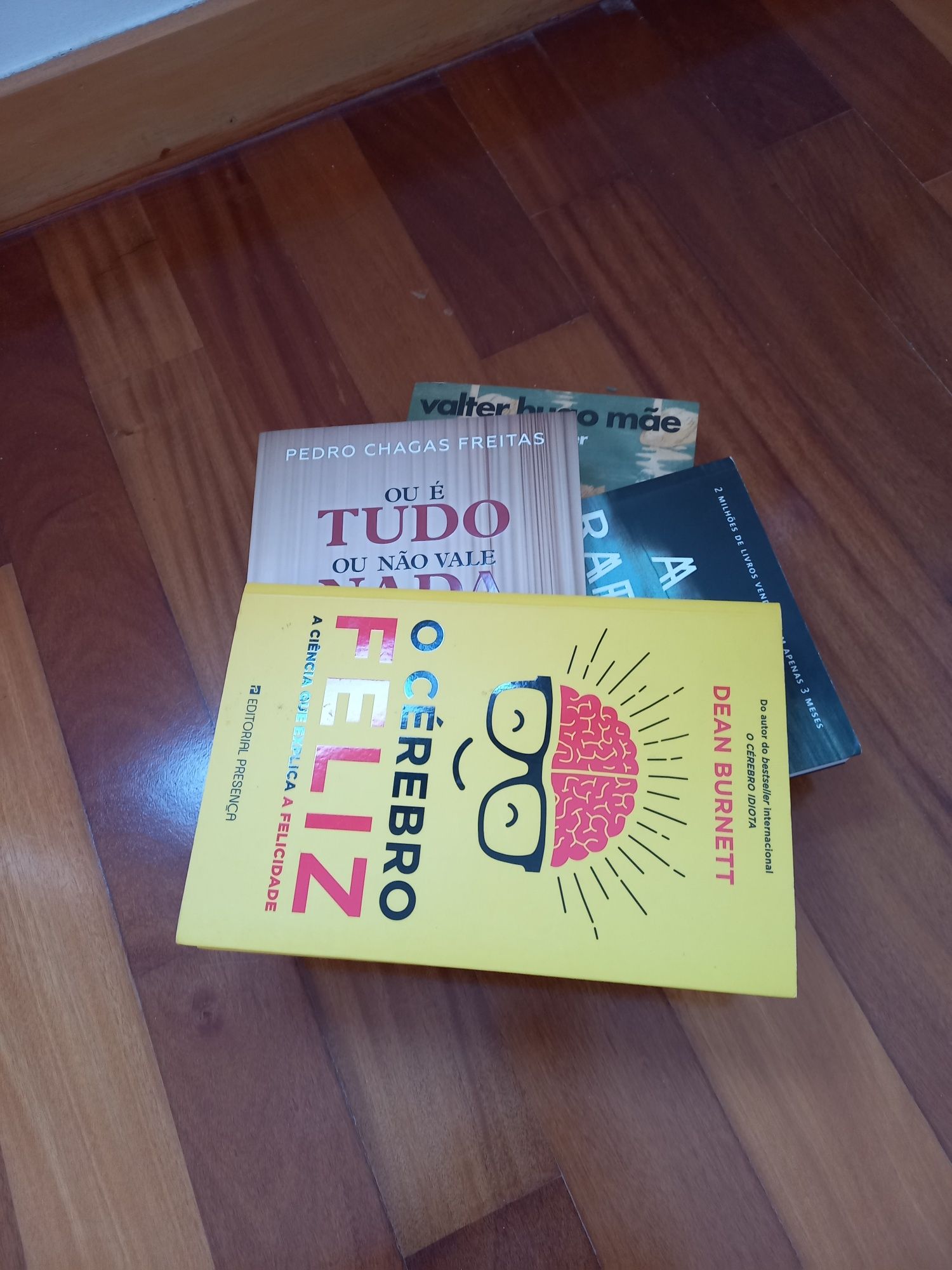 Livros autores nacionais  e literatura  internacional.